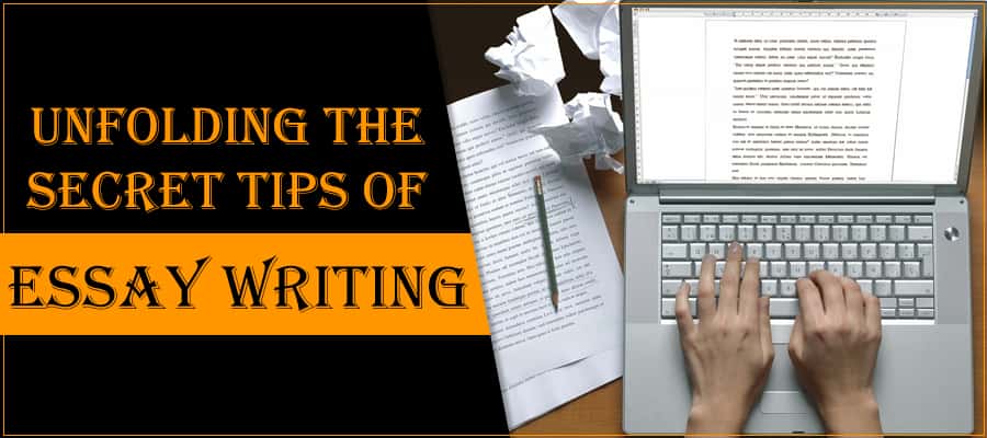 Create a Dynamic Essay